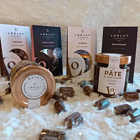 Novotel Ferrand Polydome 4* Клермон-Ферран