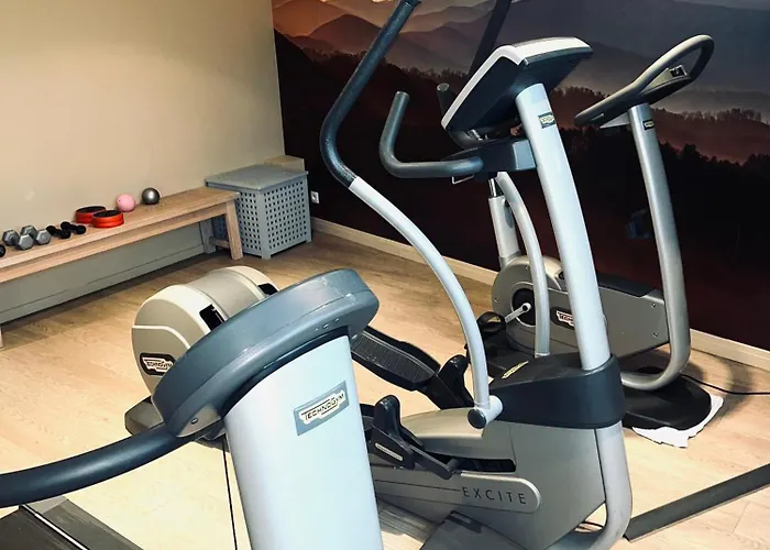 Novotel Ferrand Polydome Hotel