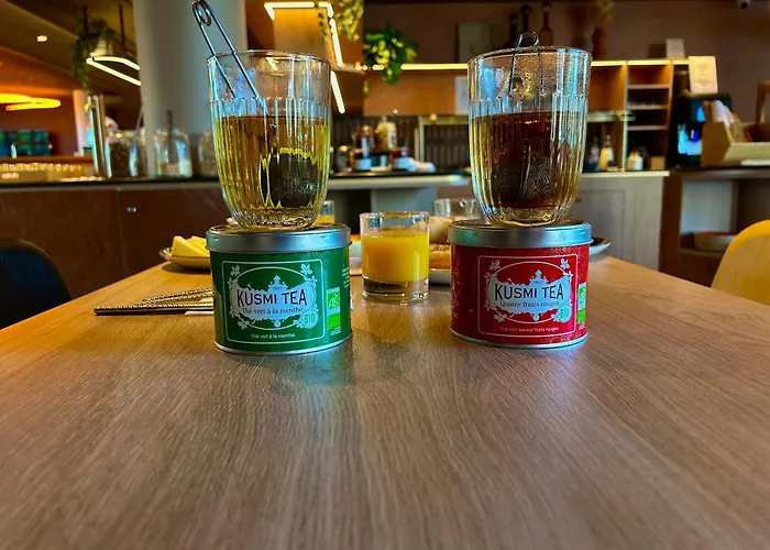 Novotel Ferrand Polydome Hotel